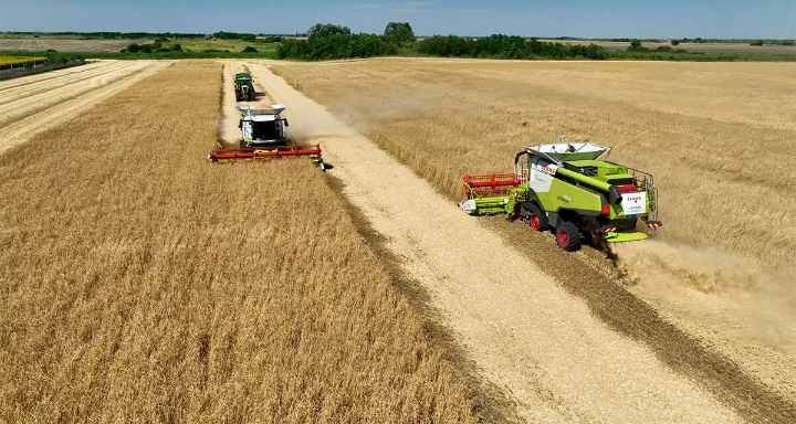 Farm harvest
